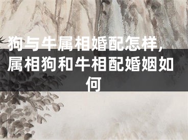 狗与牛属相婚配怎样,属相狗和牛相配婚姻如何