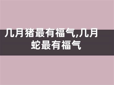 几月猪最有福气,几月蛇最有福气