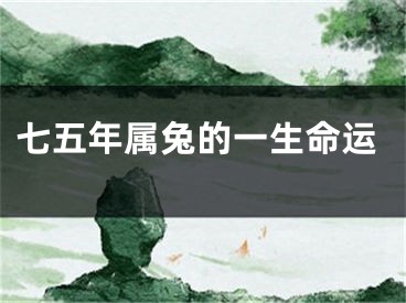 七五年属兔的一生命运