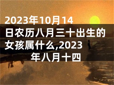 2023年10月14日农历八月三十出生的女孩属什么,2023年八月十四