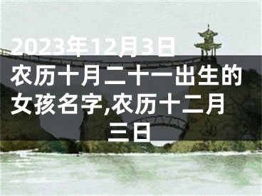 2023年12月3日农历十月二十一出生的女孩名字,农历十二月三日