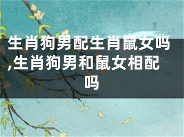 生肖狗男配生肖鼠女吗,生肖狗男和鼠女相配吗