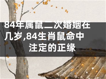 84年属鼠二次婚姻在几岁,84生肖鼠命中注定的正缘