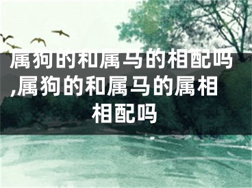 属狗的和属马的相配吗,属狗的和属马的属相相配吗