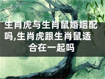 生肖虎与生肖鼠婚姻配吗,生肖虎跟生肖鼠适合在一起吗
