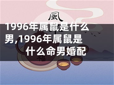 1996年属鼠是什么男,1996年属鼠是什么命男婚配