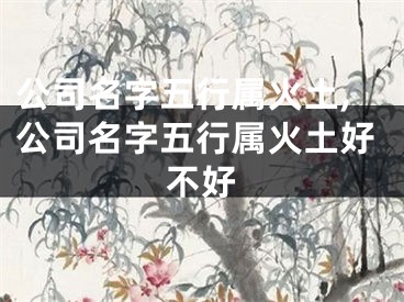 公司名字五行属火土,公司名字五行属火土好不好