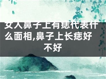 女人鼻子上有痣代表什么面相,鼻子上长痣好不好