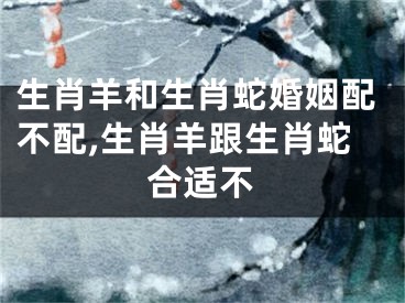 生肖羊和生肖蛇婚姻配不配,生肖羊跟生肖蛇合适不