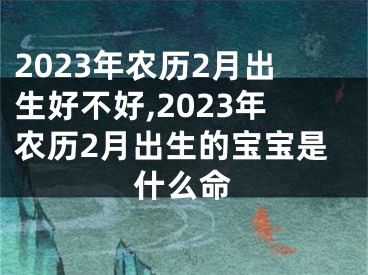 2023年农历2月出生好不好,2023年农历2月出生的宝宝是什么命