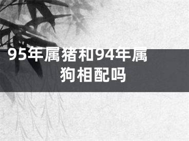 95年属猪和94年属狗相配吗