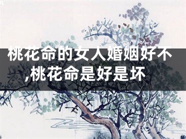 桃花命的女人婚姻好不,桃花命是好是坏