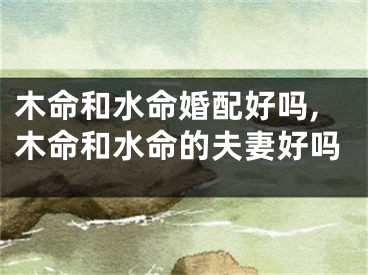 木命和水命婚配好吗,木命和水命的夫妻好吗