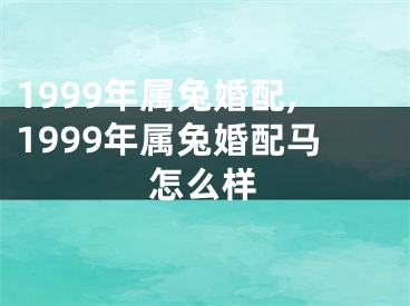 1999年属兔婚配,1999年属兔婚配马怎么样