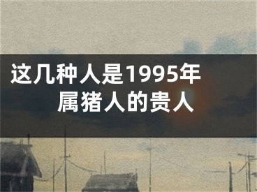 这几种人是1995年属猪人的贵人