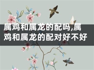 属鸡和属龙的配吗,属鸡和属龙的配对好不好