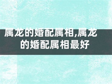 属龙的婚配属相,属龙的婚配属相最好