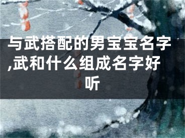 与武搭配的男宝宝名字,武和什么组成名字好听