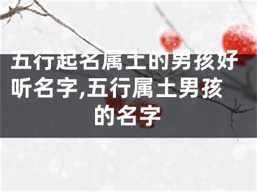 五行起名属土的男孩好听名字,五行属土男孩的名字