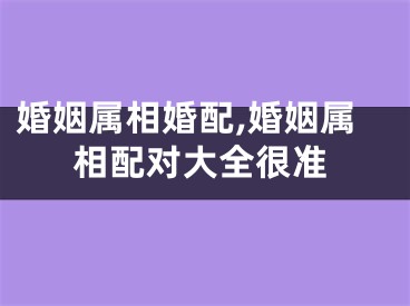 婚姻属相婚配,婚姻属相配对大全很准