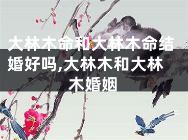 大林木命和大林木命结婚好吗,大林木和大林木婚姻