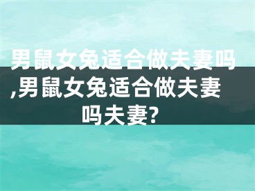 男鼠女兔适合做夫妻吗,男鼠女兔适合做夫妻吗夫妻?