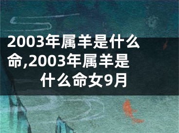 2003年属羊是什么命,2003年属羊是什么命女9月