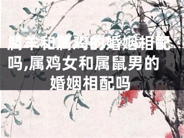 属羊和属鸡的婚姻相配吗,属鸡女和属鼠男的婚姻相配吗