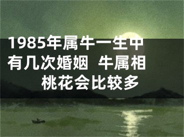 1985年属牛一生中有几次婚姻  牛属相桃花会比较多