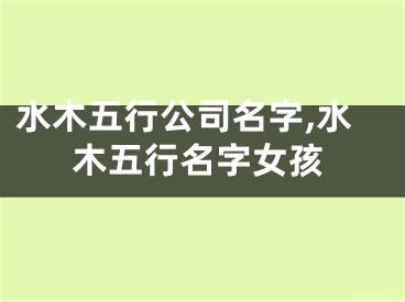 水木五行公司名字,水木五行名字女孩