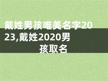戴姓男孩唯美名字2023,戴姓2020男孩取名