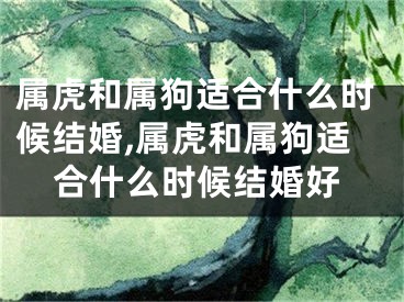 属虎和属狗适合什么时候结婚,属虎和属狗适合什么时候结婚好