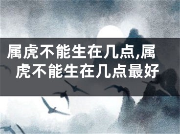 属虎不能生在几点,属虎不能生在几点最好