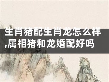 生肖猪配生肖龙怎么样,属相猪和龙婚配好吗