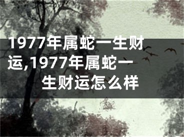 1977年属蛇一生财运,1977年属蛇一生财运怎么样