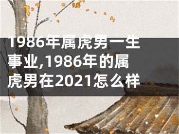 1986年属虎男一生事业,1986年的属虎男在2021怎么样