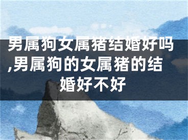 男属狗女属猪结婚好吗,男属狗的女属猪的结婚好不好