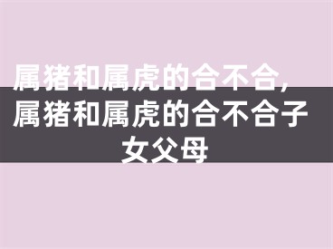 属猪和属虎的合不合,属猪和属虎的合不合子女父母