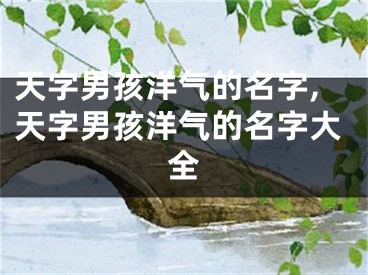 天字男孩洋气的名字,天字男孩洋气的名字大全