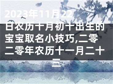 2023年11月22日农历十月初十出生的宝宝取名小技巧,二零二零年农历十一月二十三