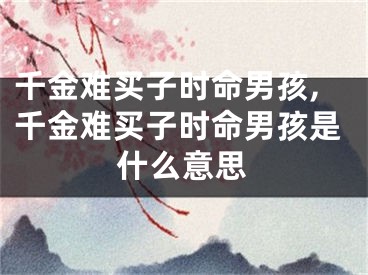 千金难买子时命男孩,千金难买子时命男孩是什么意思