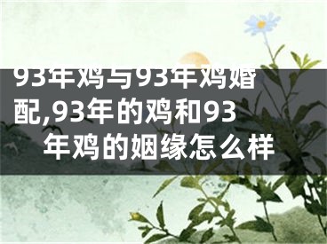 93年鸡与93年鸡婚配,93年的鸡和93年鸡的姻缘怎么样