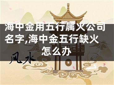 海中金用五行属火公司名字,海中金五行缺火怎么办