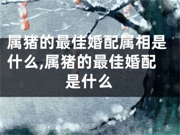 属猪的最佳婚配属相是什么,属猪的最佳婚配是什么