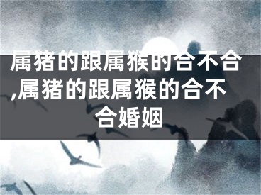 属猪的跟属猴的合不合,属猪的跟属猴的合不合婚姻