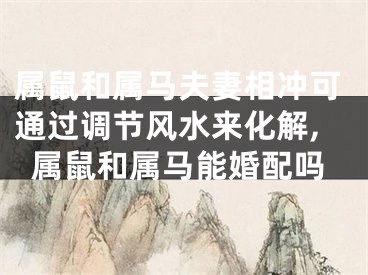 属鼠和属马夫妻相冲可通过调节风水来化解,属鼠和属马能婚配吗