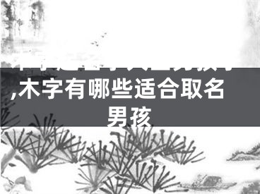 木字起名字大全男孩子,木字有哪些适合取名男孩