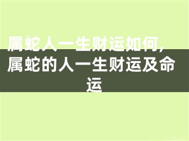 属蛇人一生财运如何,属蛇的人一生财运及命运