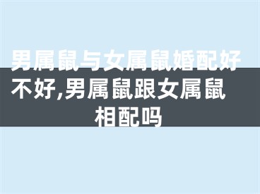 男属鼠与女属鼠婚配好不好,男属鼠跟女属鼠相配吗