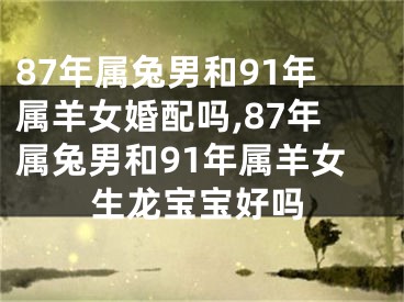 87年属兔男和91年属羊女婚配吗,87年属兔男和91年属羊女生龙宝宝好吗